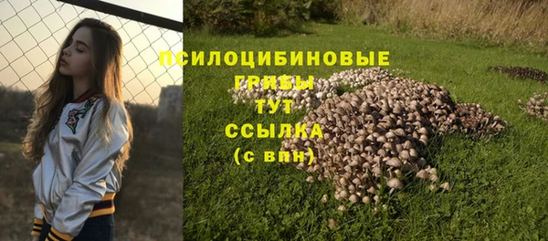 герыч Алексин