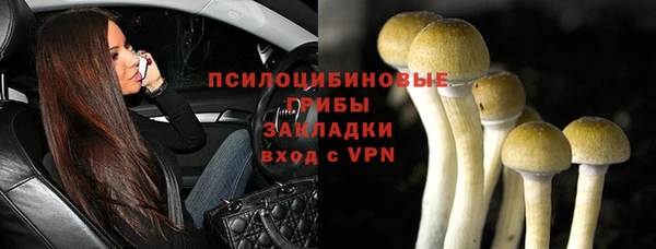ГАЛЛЮЦИНОГЕННЫЕ ГРИБЫ Алексеевка