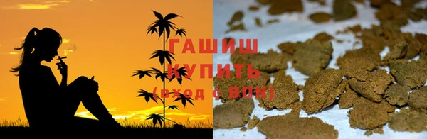 хмурый Алзамай
