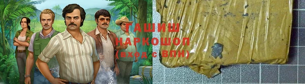 хмурый Алзамай