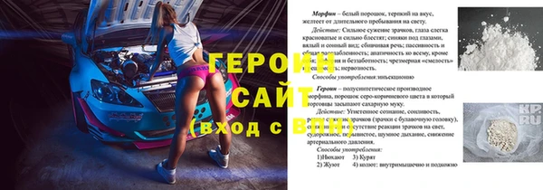 герыч Алексин